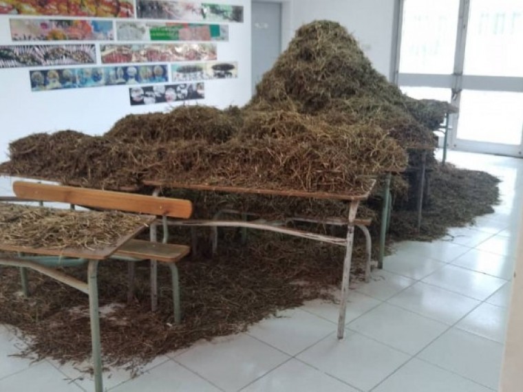 Forjando los Sures, 14 Bienal de Dakar, Senegal