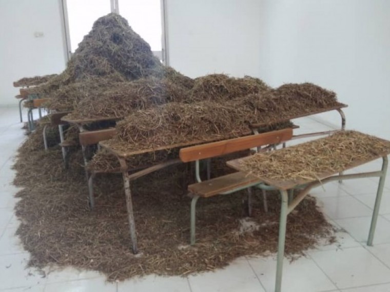 Forjando los Sures, 14 Bienal de Dakar, Senegal