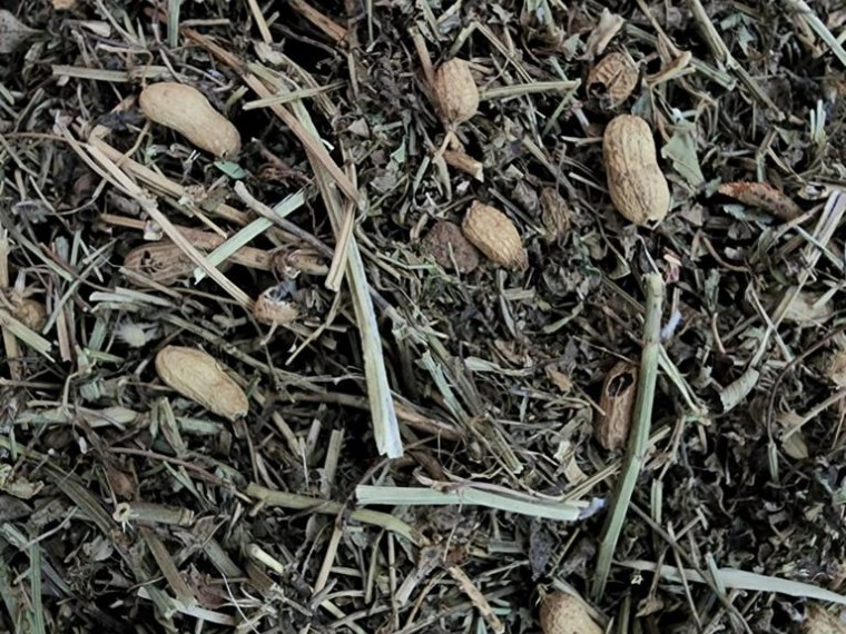 Forjando los Sures, 14 Bienal de Dakar, Senegal